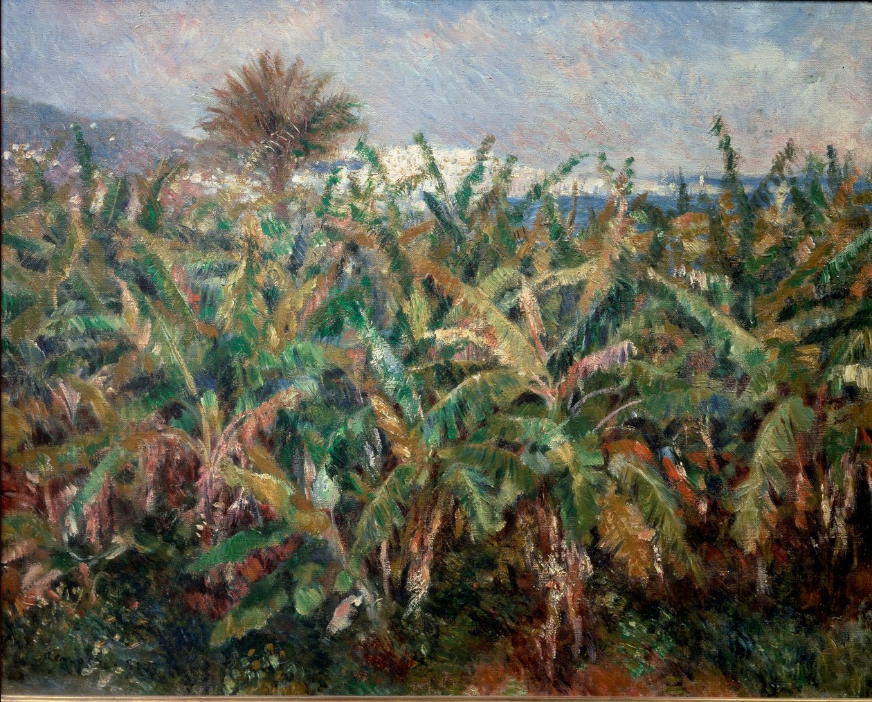 Banánmező alkotó: Pierre Auguste Renoir