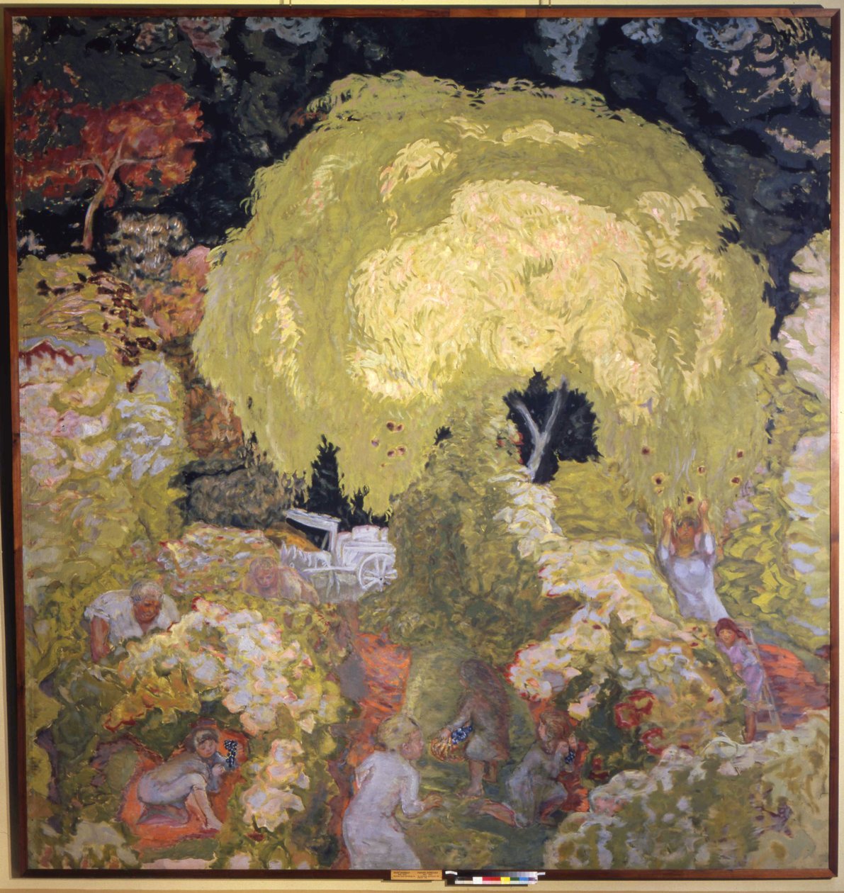 Ősz, gyümölcsszedés alkotó: Pierre Bonnard