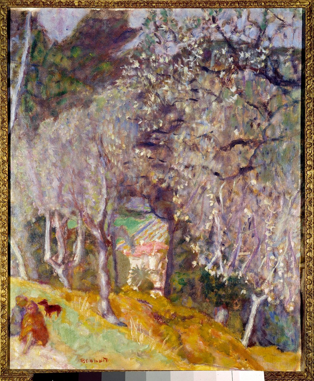 Ház az olajbogyókban alkotó: Pierre Bonnard