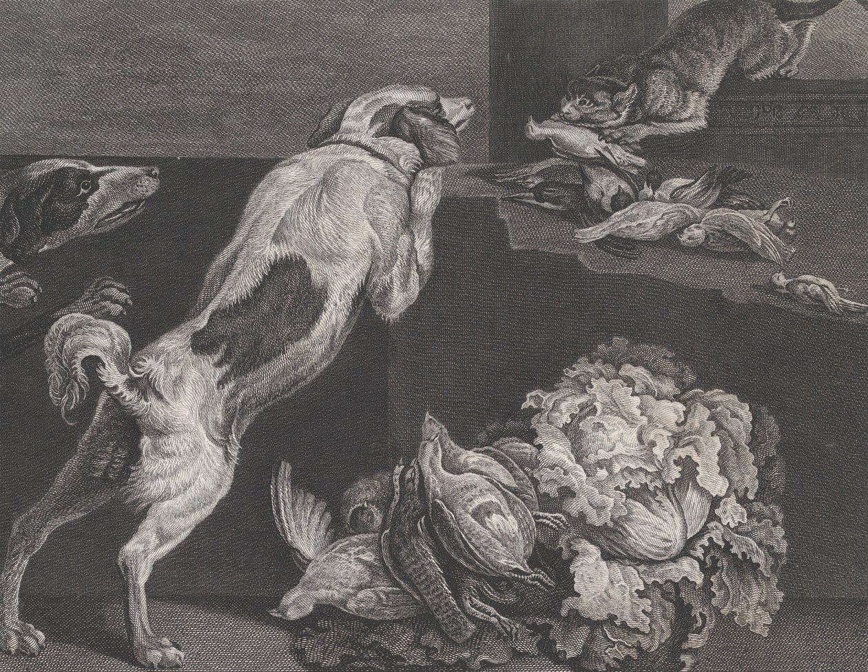 Kutyák és csendélet, 1778 alkotó: Pierre Charles Canot