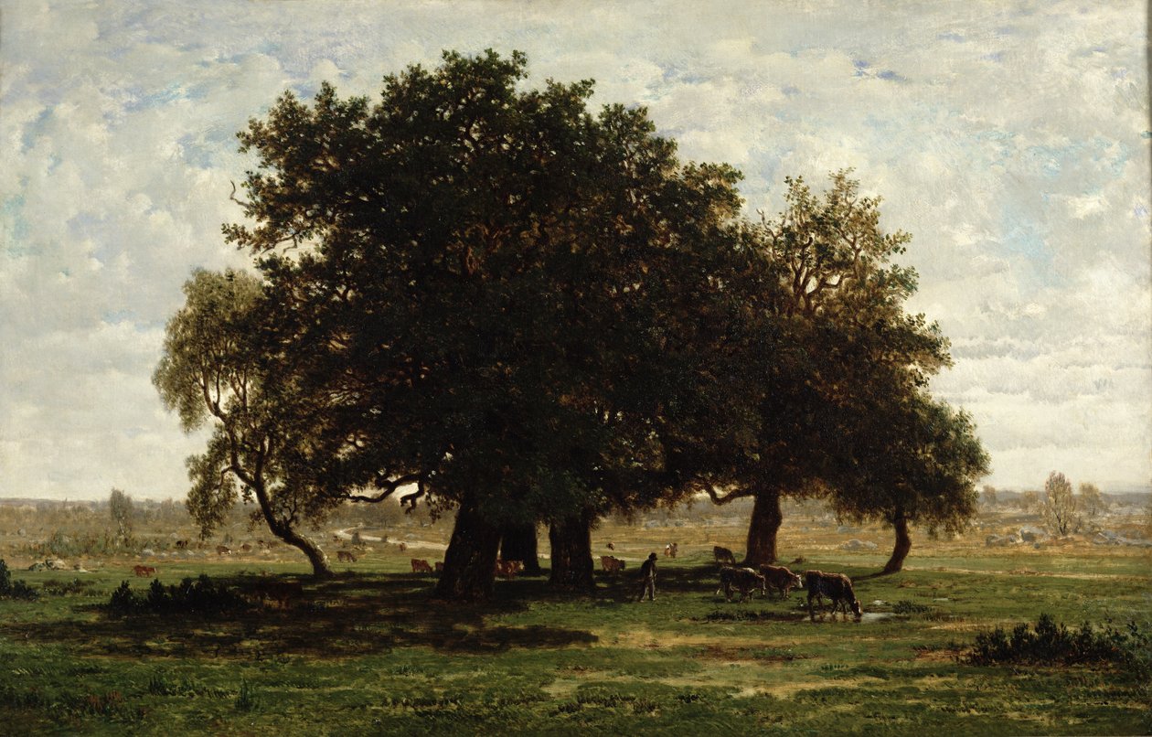 Holm Oaks, Apremont, 1850-52 alkotó: Pierre Etienne Theodore Rousseau