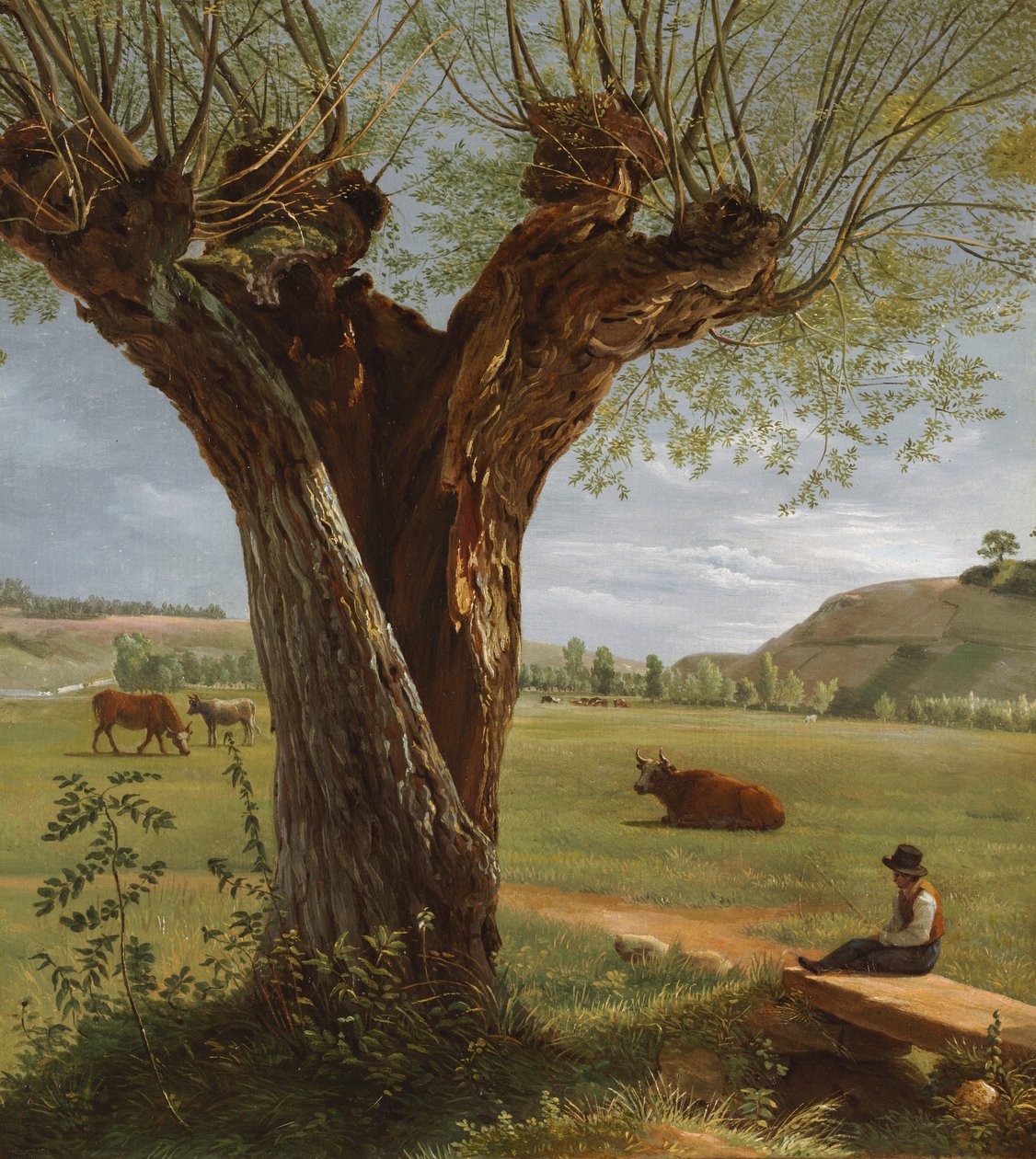 Pollard Willow, 1804 után. alkotó: Pierre Jean Boquet