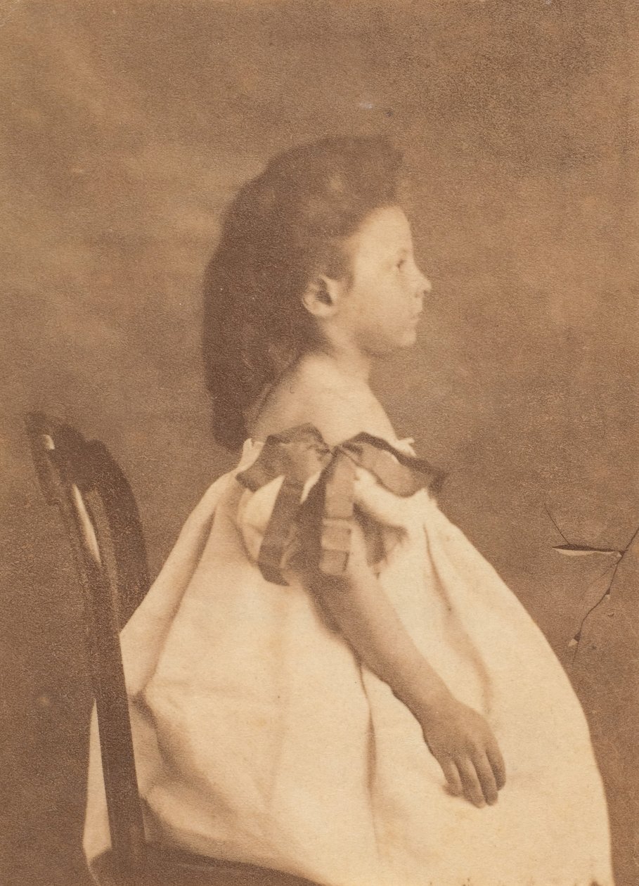 Egy másik rusztikus szék, 1860-as évek. alkotó: Pierre Louis Pierson