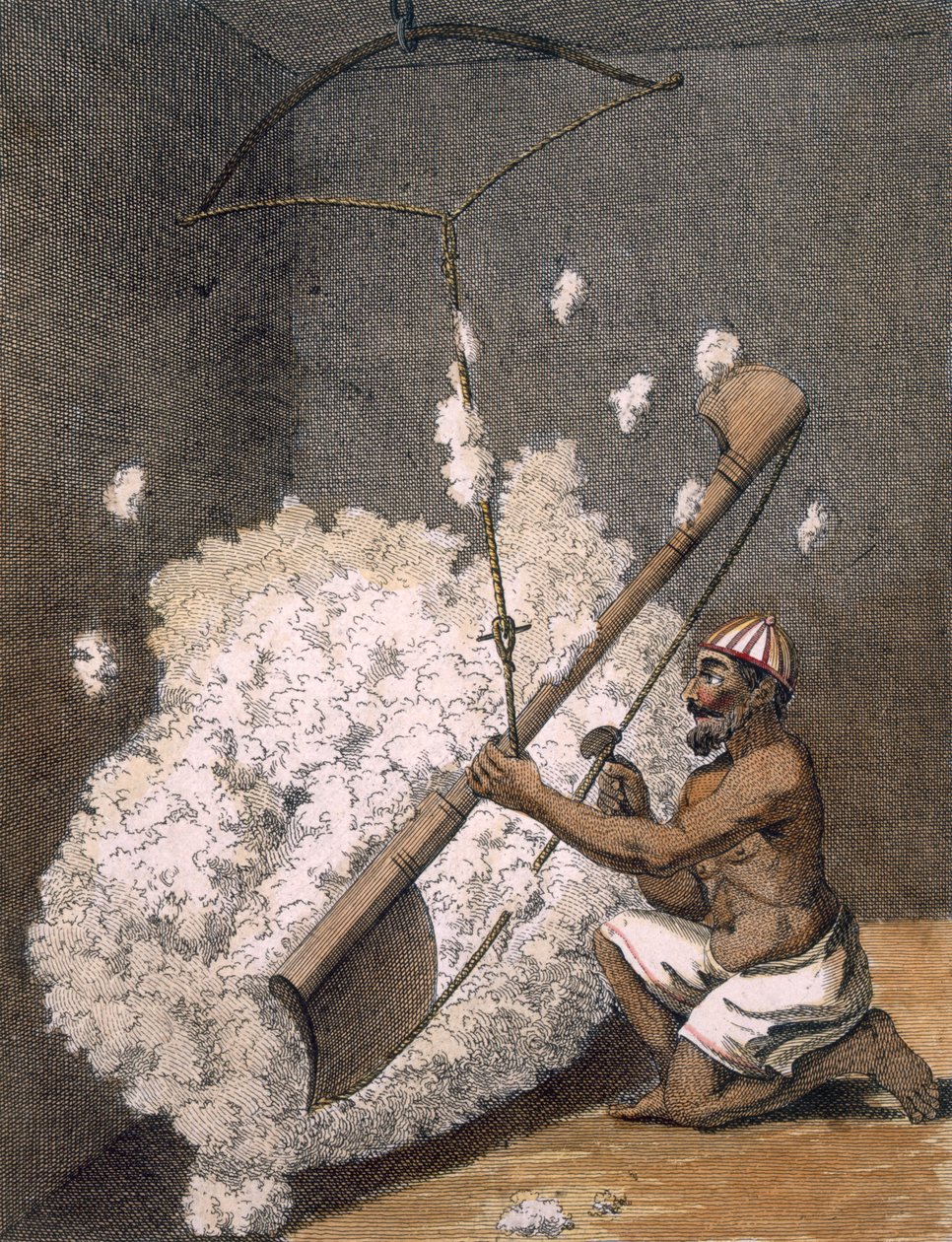 Kártolt pamut, 1782. alkotó: Pierre Sonnerat