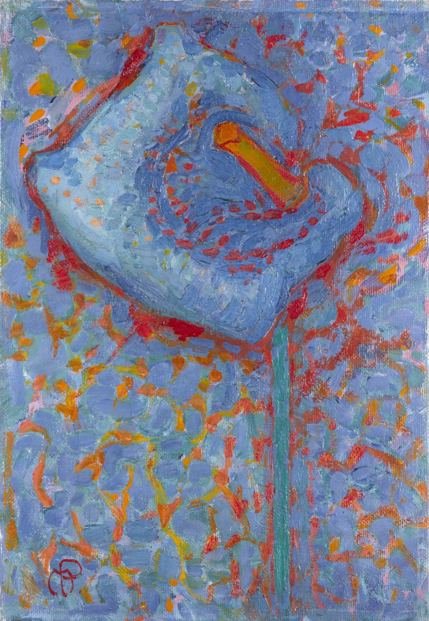 Arum Liliom, 1908-1909. alkotó: Piet Mondrian