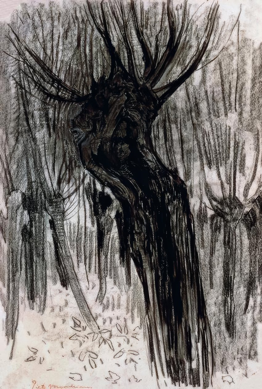 Willows, 1902-1904, alkotó: Piet Mondrian