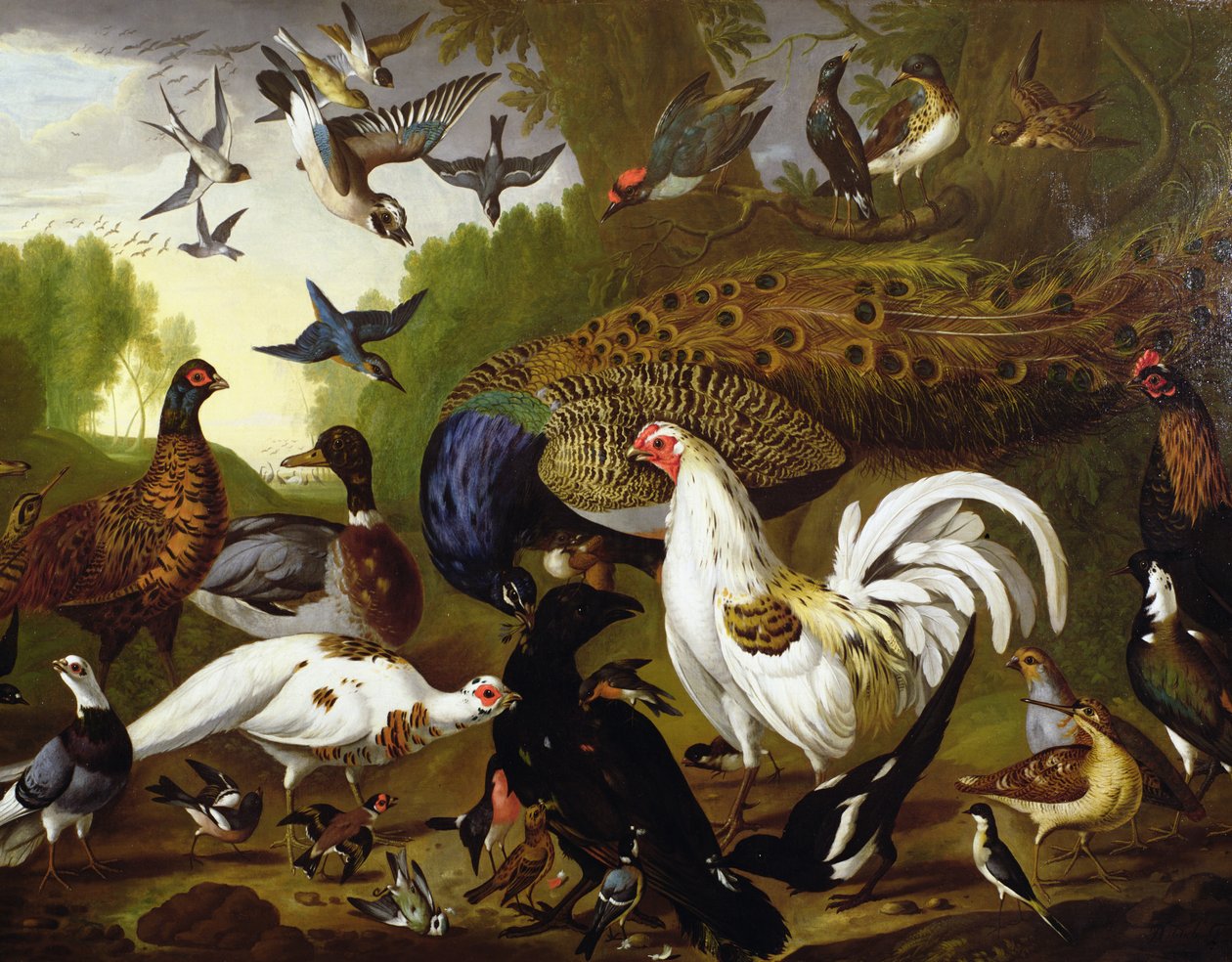 A holló meséje pávával, kakassal, harkályral, szajkóval, erdei kakassal és szarkalóval alkotó: Pieter Casteels