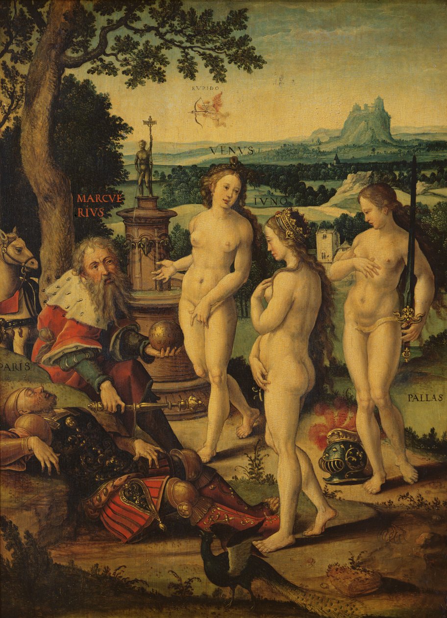 Párizs álma alkotó: Pieter Coecke van Aelst