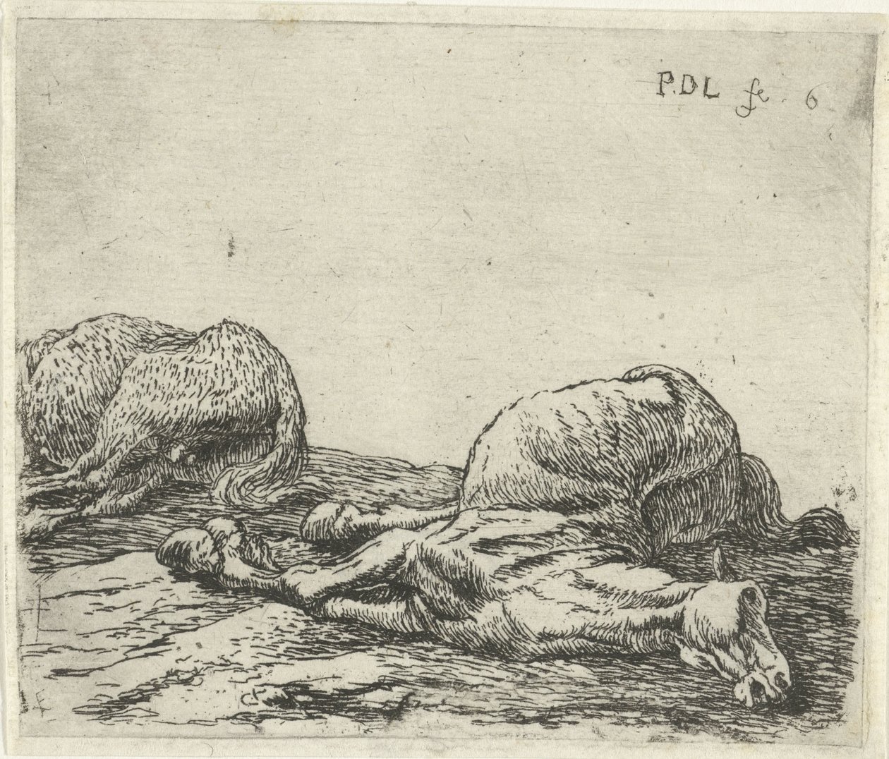 Két döglött ló Lovak (sorozat címe) alkotó: Pieter Bodding van Laer