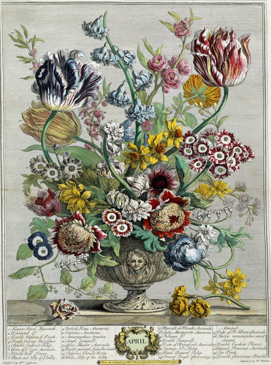 Április, a "Tizenkét hónap virágból", 1730 alkotó: Pieter Casteels