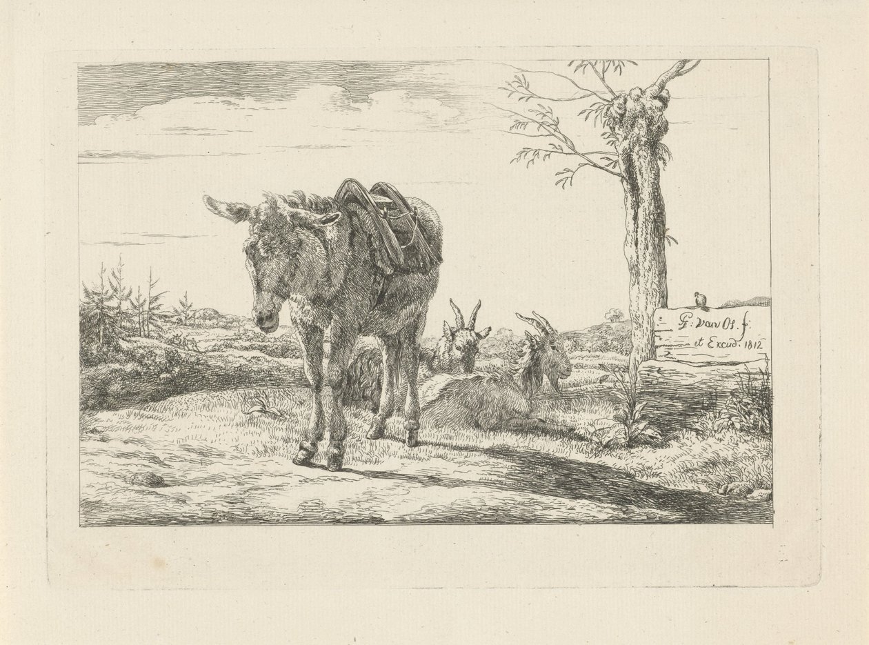 Egy szamár és két kecske alkotó: Pieter Gerardus van Os
