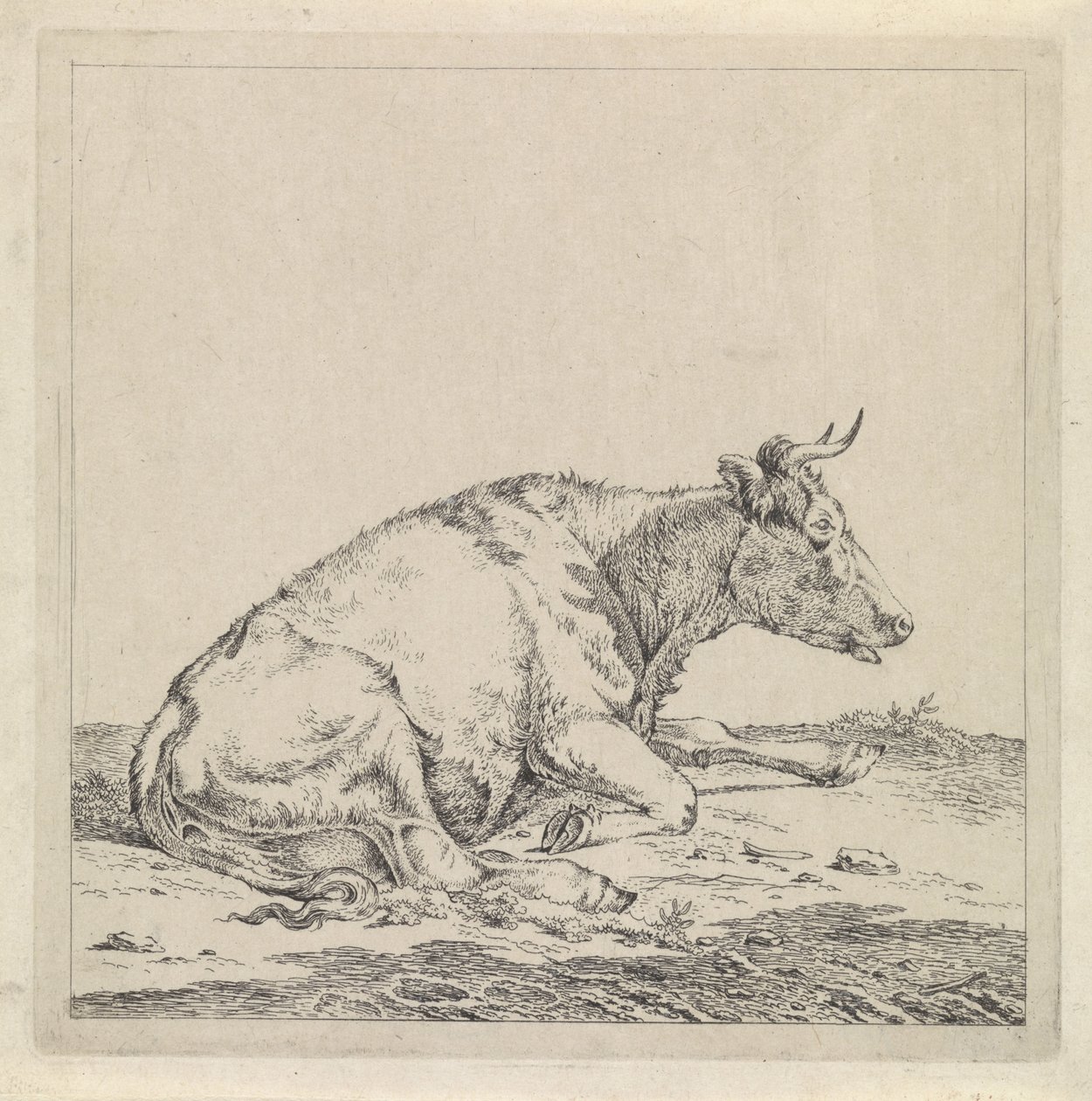 Fekvő tehén, jobbra alkotó: Pieter Janson