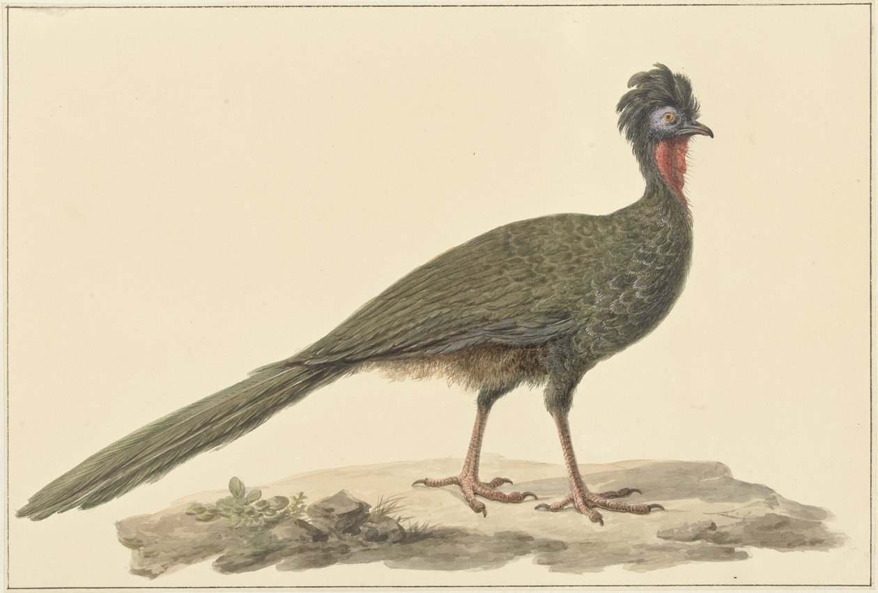 Penelope, a földön alkotó: Pieter Pietersz. Barbiers