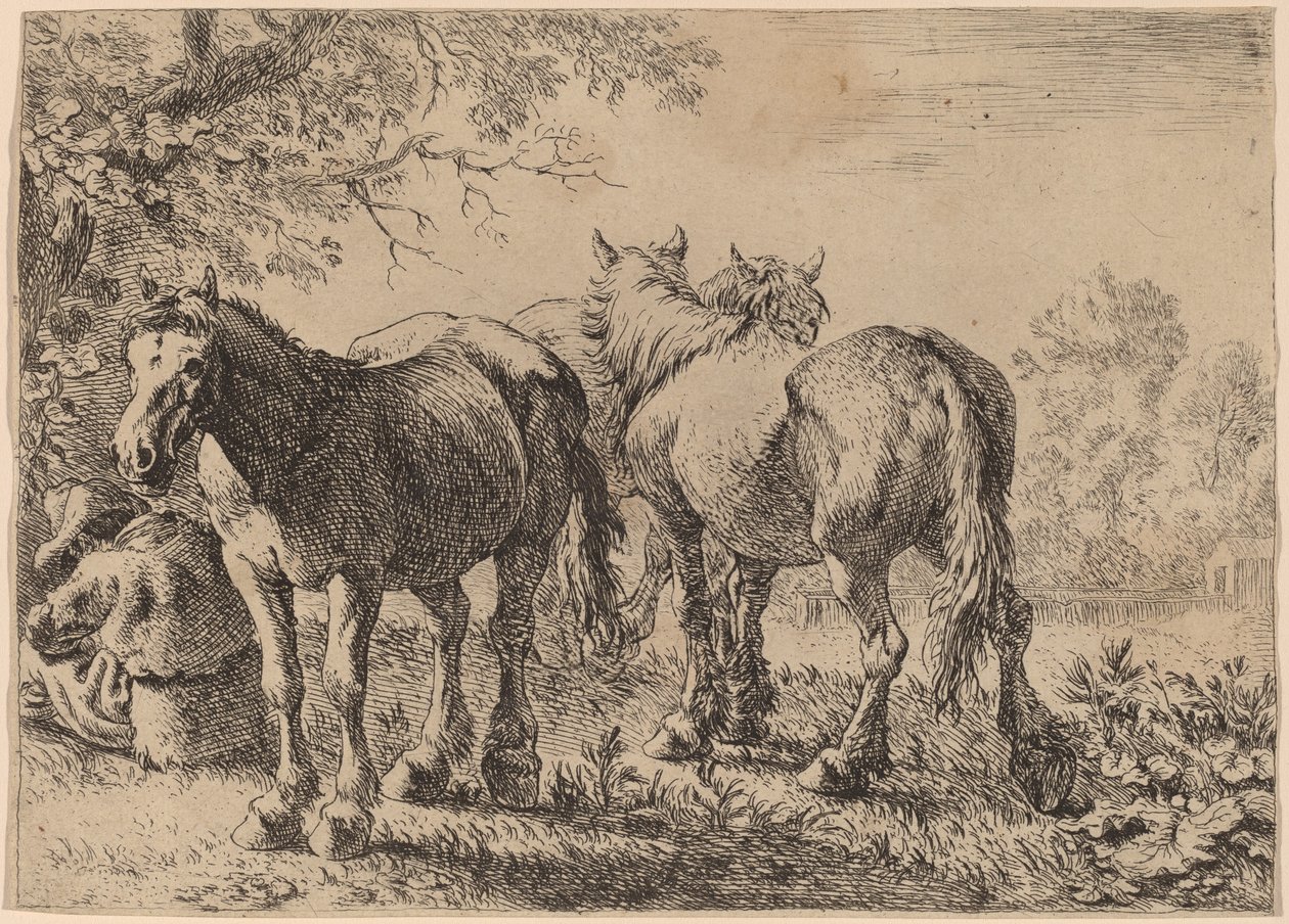 Három ló egy mezőn alkotó: Pieter van Laer