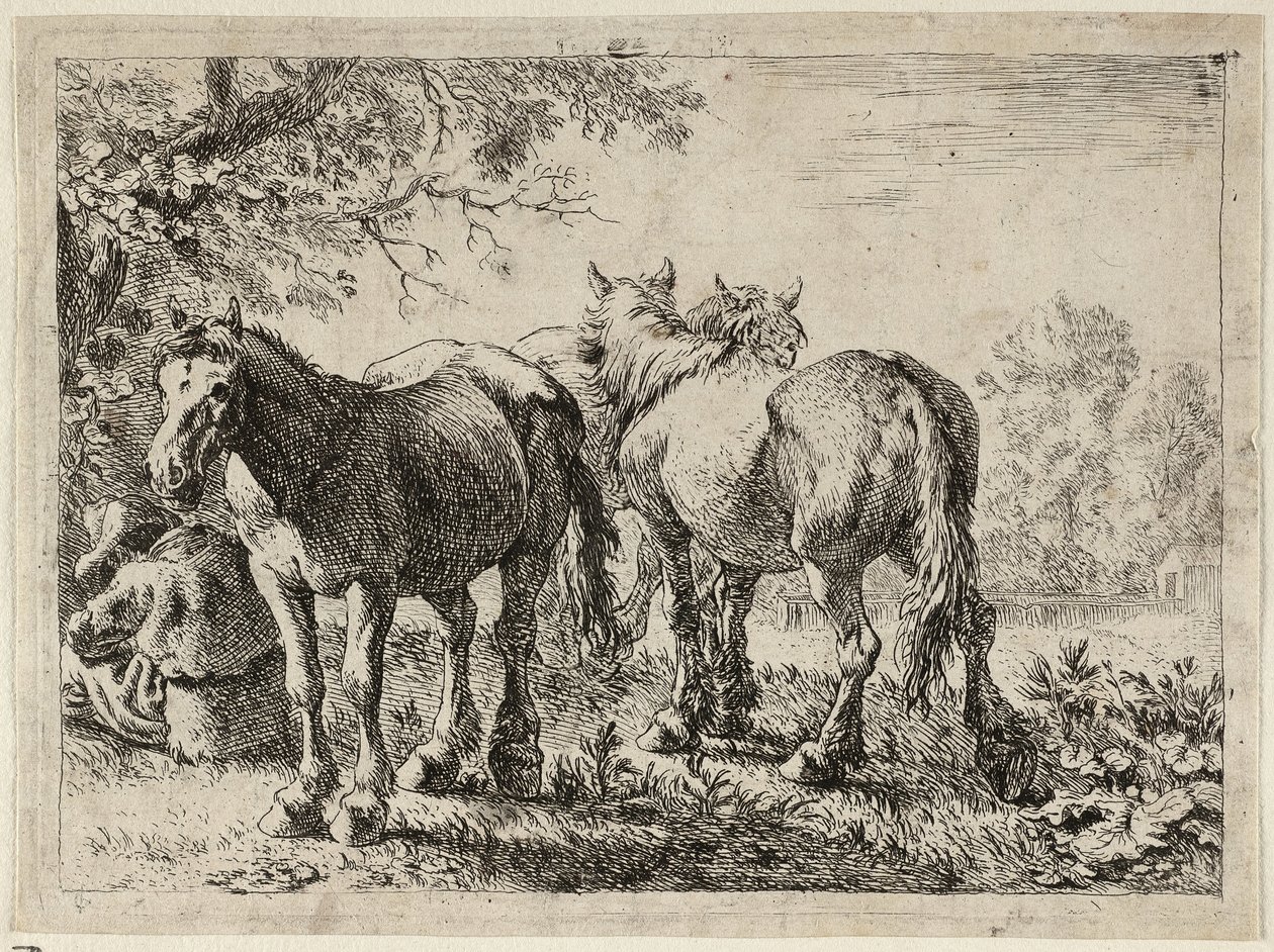 Három ló a mezőn alkotó: Pieter van Laer