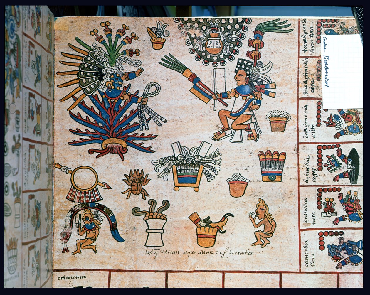 Azték Codex Borbonicus, "Tonalamatl", Mayahuel istennőt ábrázoló részlet, agávé növényen ülve. alkotó: Pre Columbian