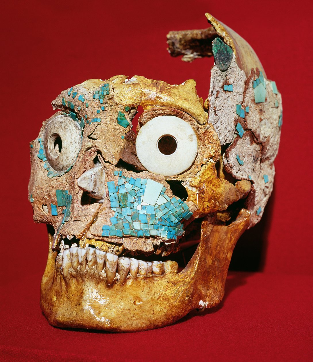 Türkiz és elefántcsont mozaikkal díszített koponya, Mixtec, a 7. sírból, Monte Alban, 1300-1450 alkotó: Pre Columbian