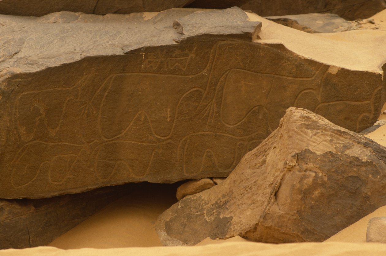 Állatok (sziklafaragás) alkotó: Prehistoric