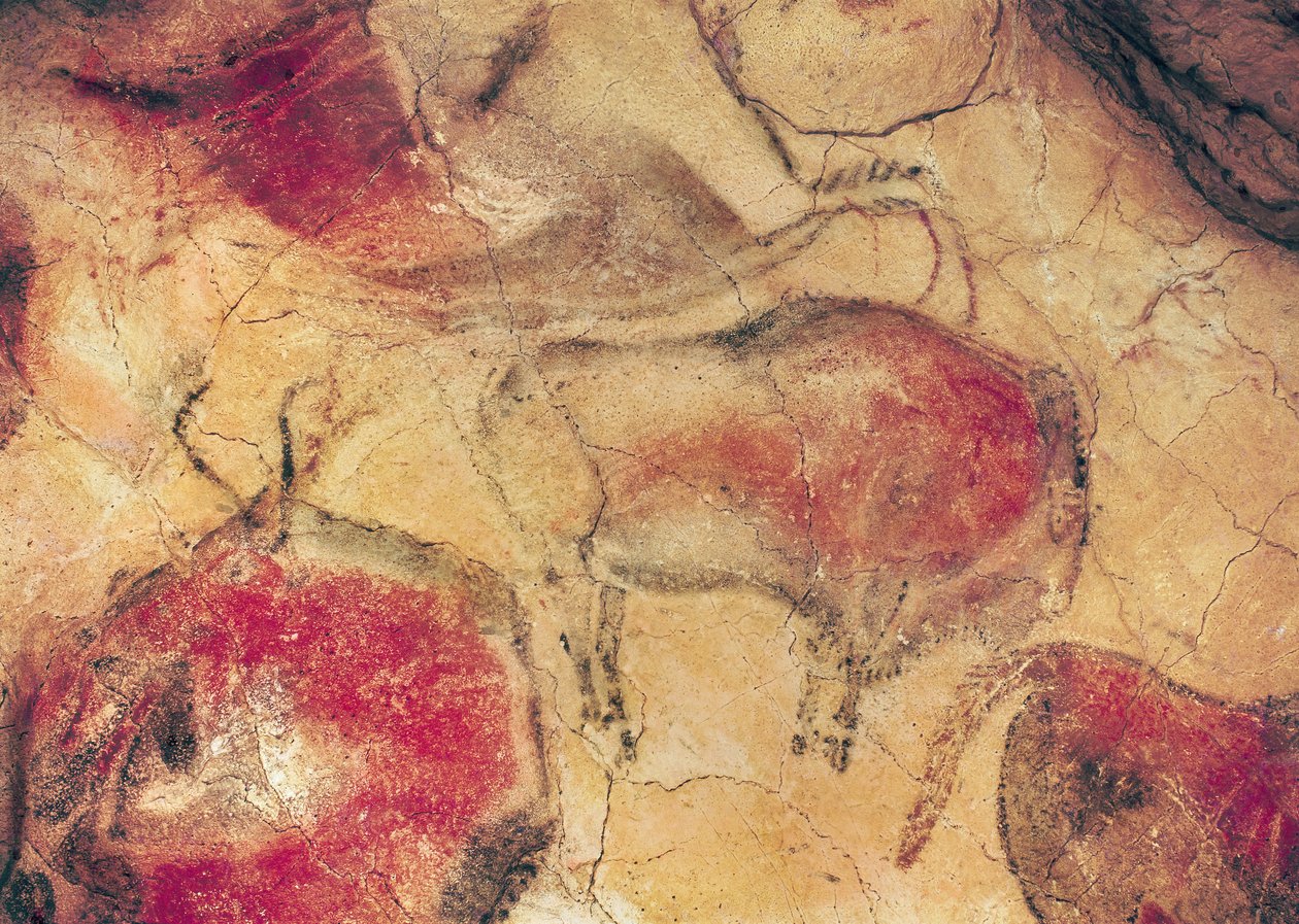 Bölények, az altamirai barlangokból, ie 15 000 körül (barlangfestés) alkotó: Prehistoric