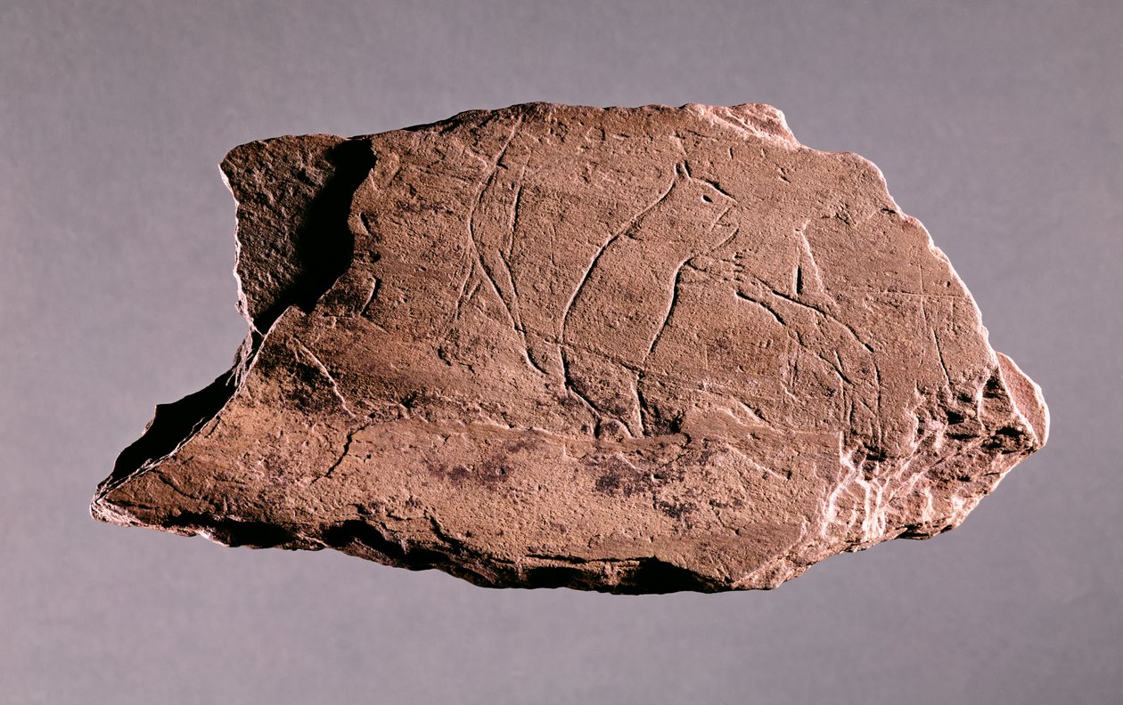 Kavics, amely egy férfit ábrázol, akit egy medve megtámad, Pechialetből, Dordogne (pala) alkotó: Prehistoric