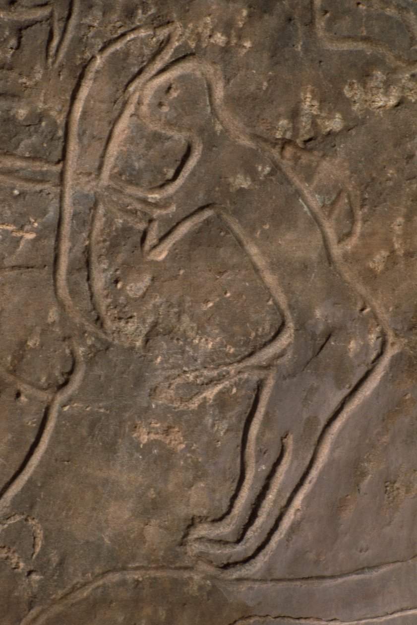 Emberalak és bikafej (sziklafaragás) alkotó: Prehistoric