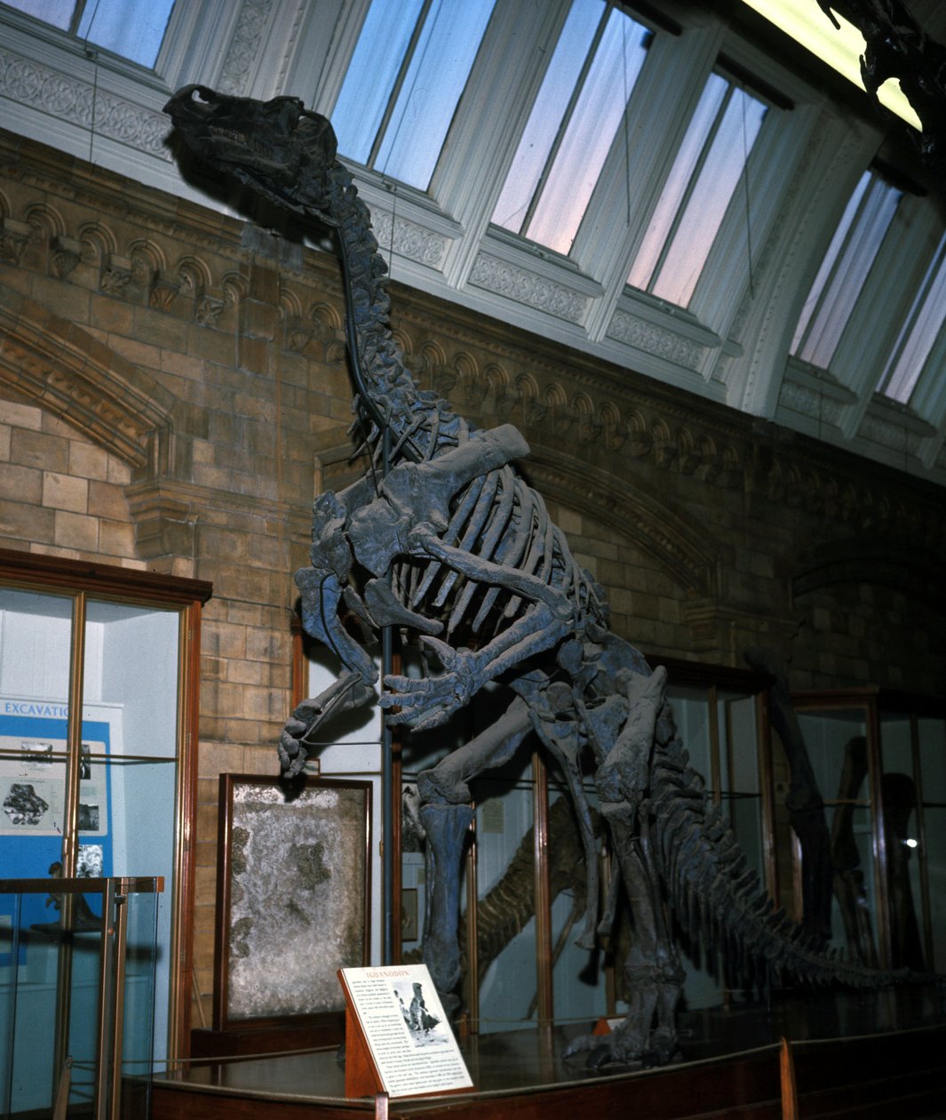 Iguanodon alkotó: Prehistoric Prehistoric