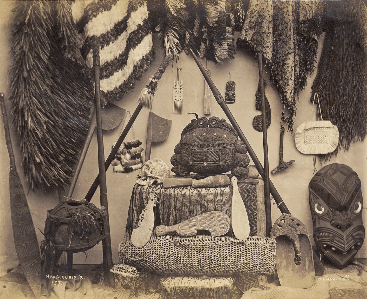 Kíváncsi maori, 1870-es évek (albumnyomat) alkotó: Pulman Studio