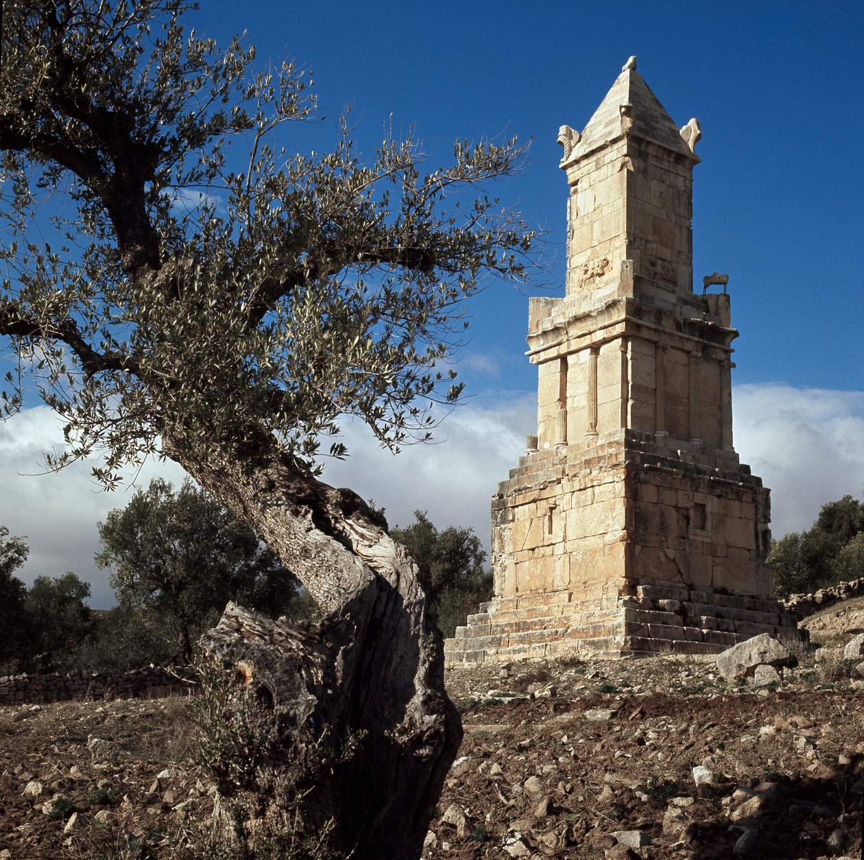 Líbiai-Pún mauzóleum alkotó: Punic Punic