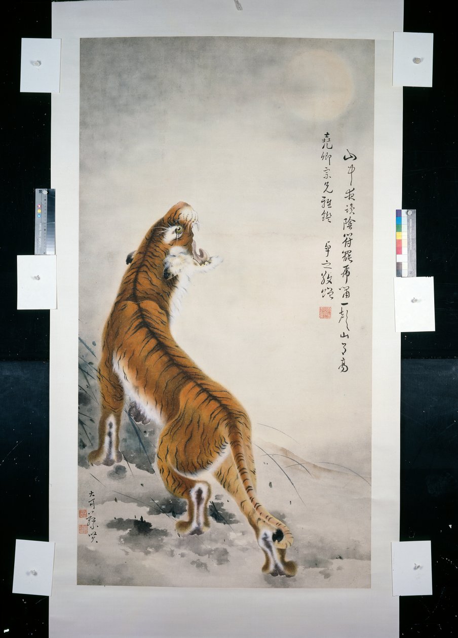Tigris alkotó: Qifeng Gao