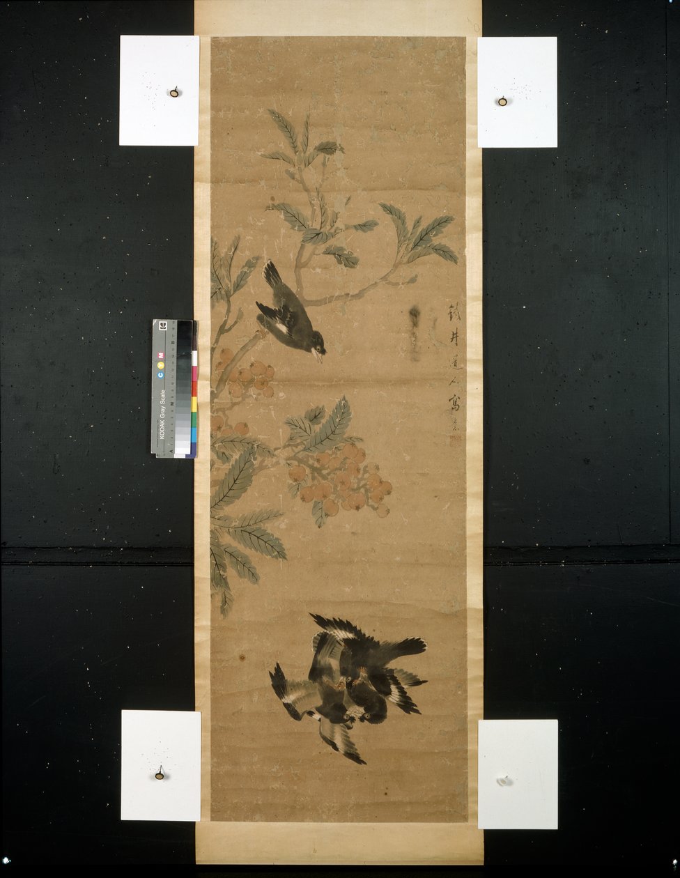 Madarak és ágak alkotó: Qing Dynasty Chinese School