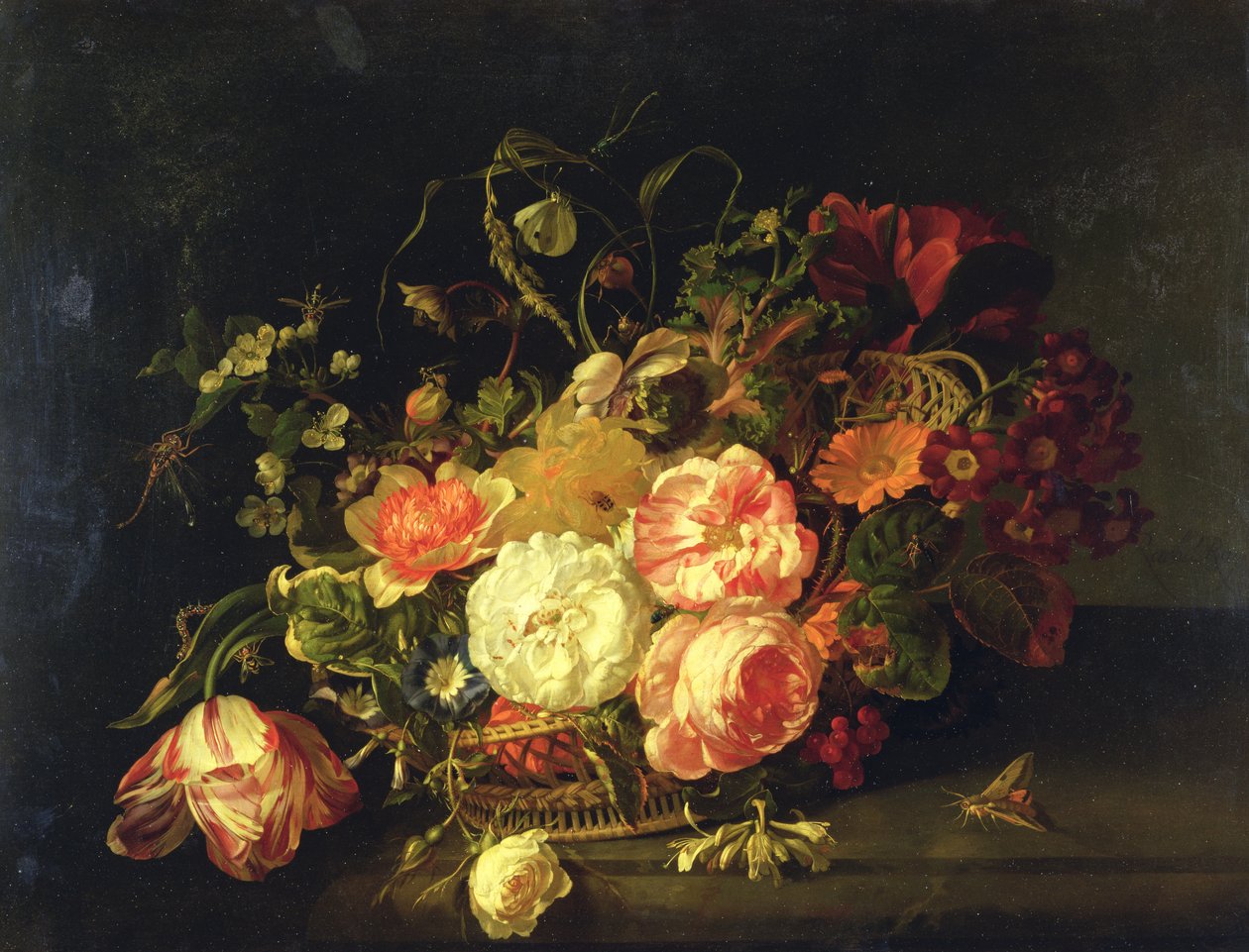 Virágok és rovarok, 1711 alkotó: Rachel Ruysch
