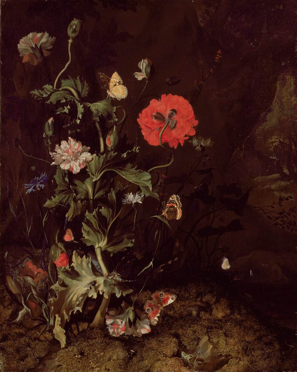 Erdőfenéki csendélet virágokkal és pillangókkal alkotó: Rachel Ruysch