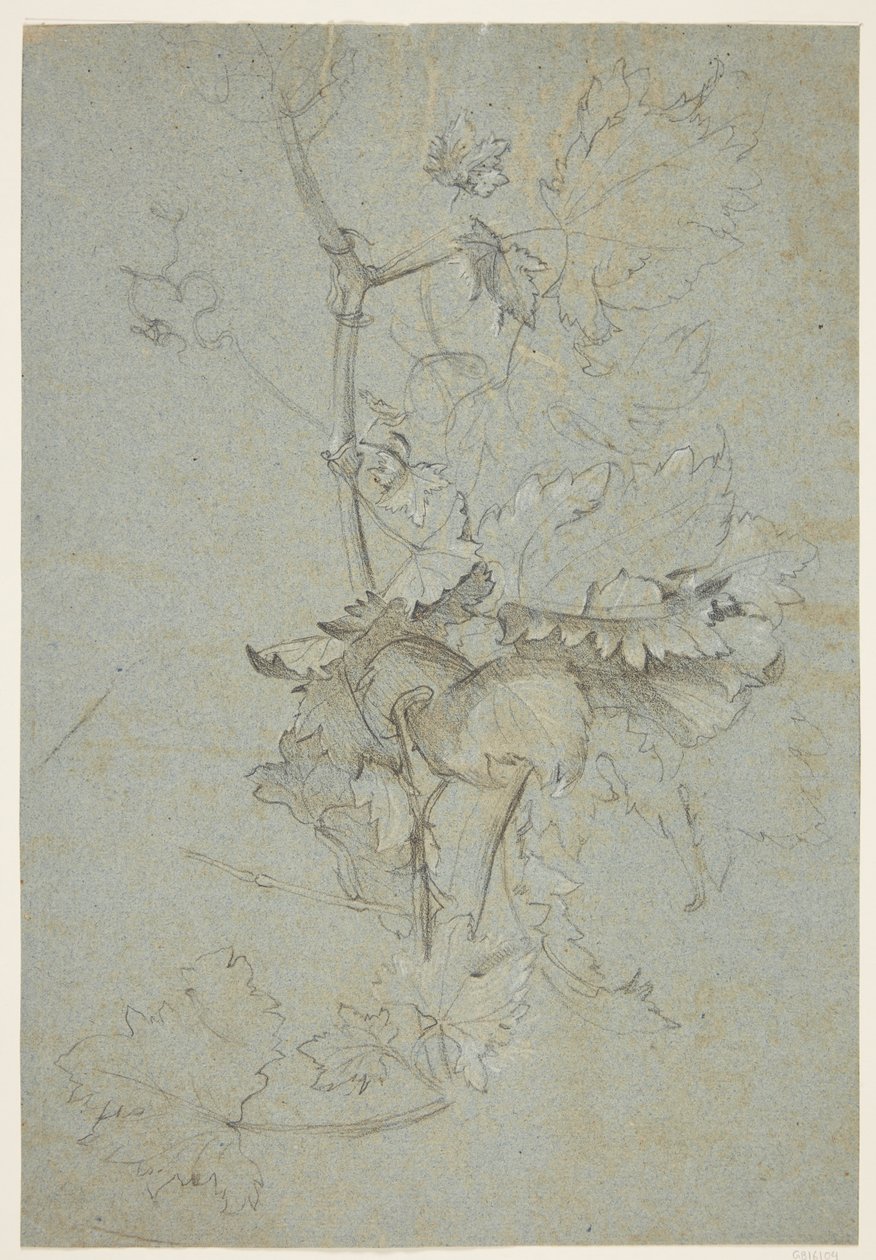 Növénytanulmány alkotó: Rachel Ruysch