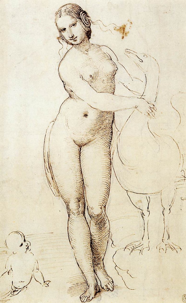Leda és a hattyú alkotó: Raffaello Sanzio Raphael