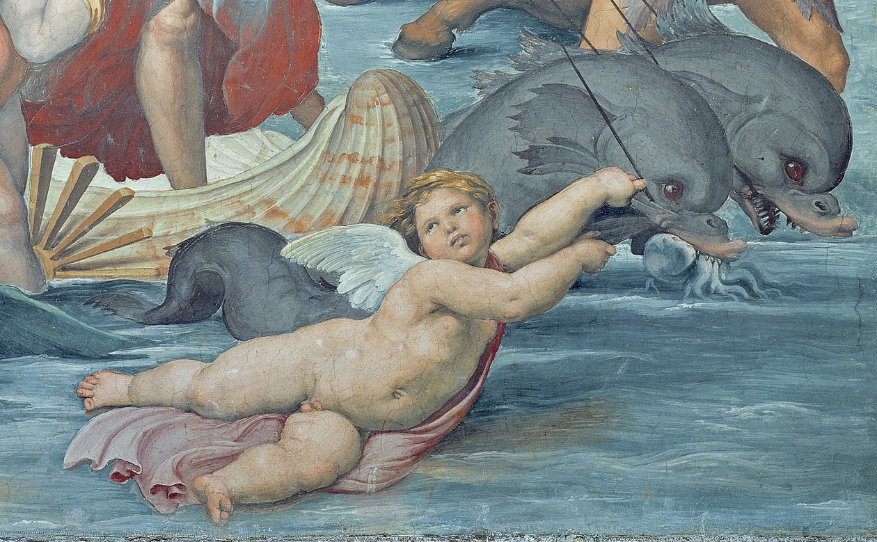 Galatea diadala, 1512-14 (56473 részlet) alkotó: Raffaello Sanzio Raphael