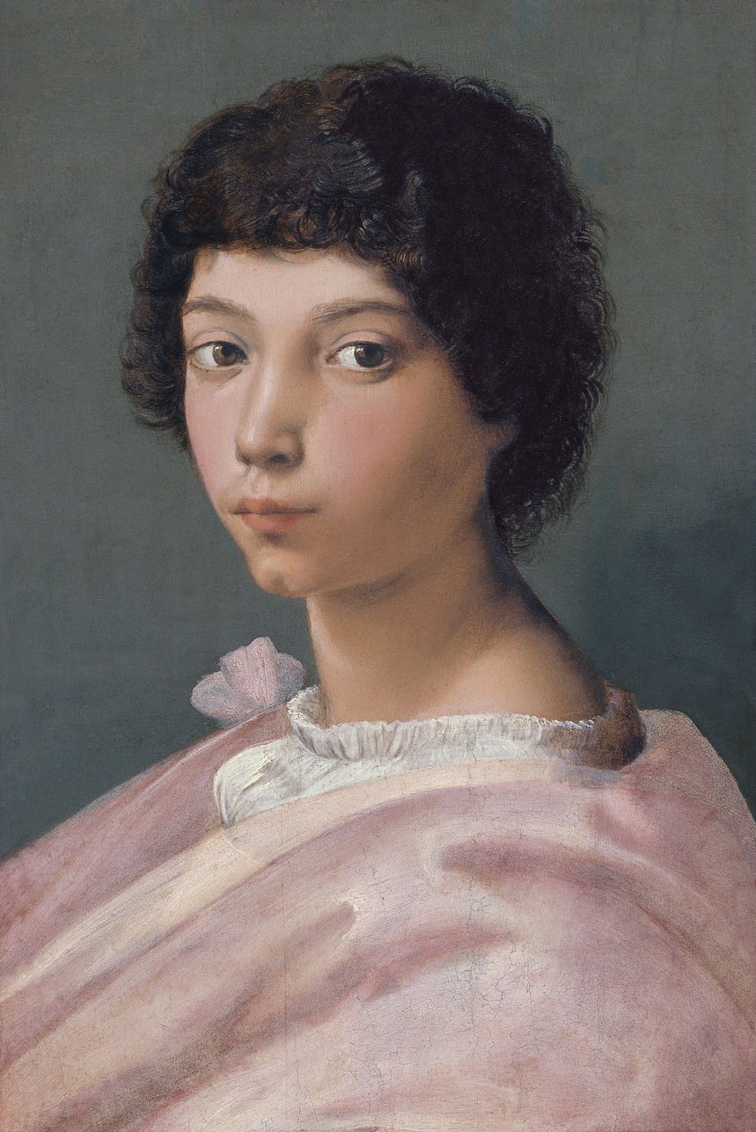 Egy fiatal férfi portréja alkotó: Raffaello Sanzio Raphael