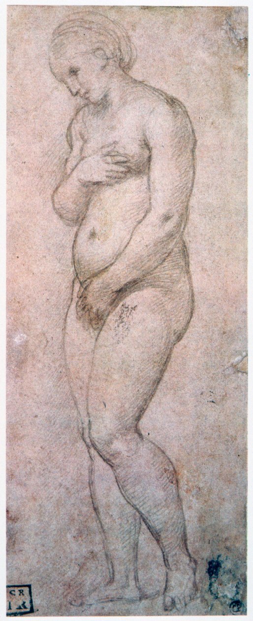 Vénusz tanulmányozása, 1500-1520 alkotó: Raffaello Sanzio Raphael