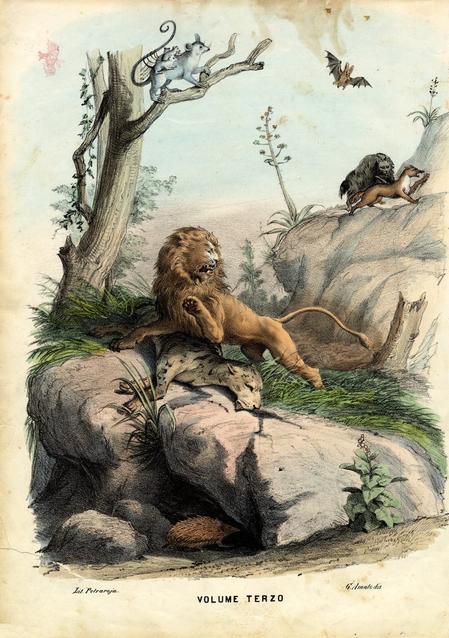 Címlap, 1863-79 alkotó: Raimundo Petraroja