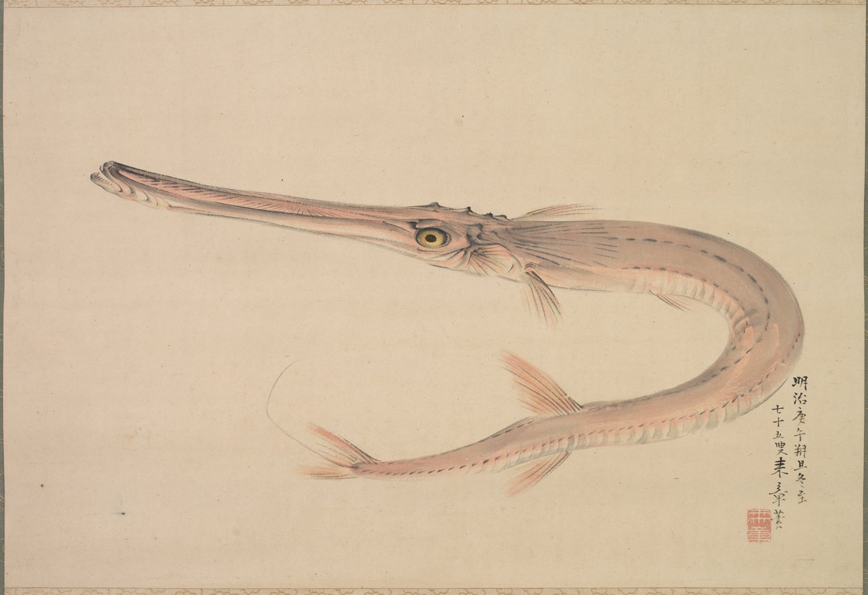 Tűhal élt, 1870. alkotó: Raisho Nakajima