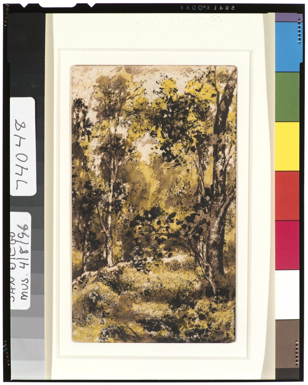 Erdei jelenet, 1901-15 alkotó: Ralph Albert Blakelock