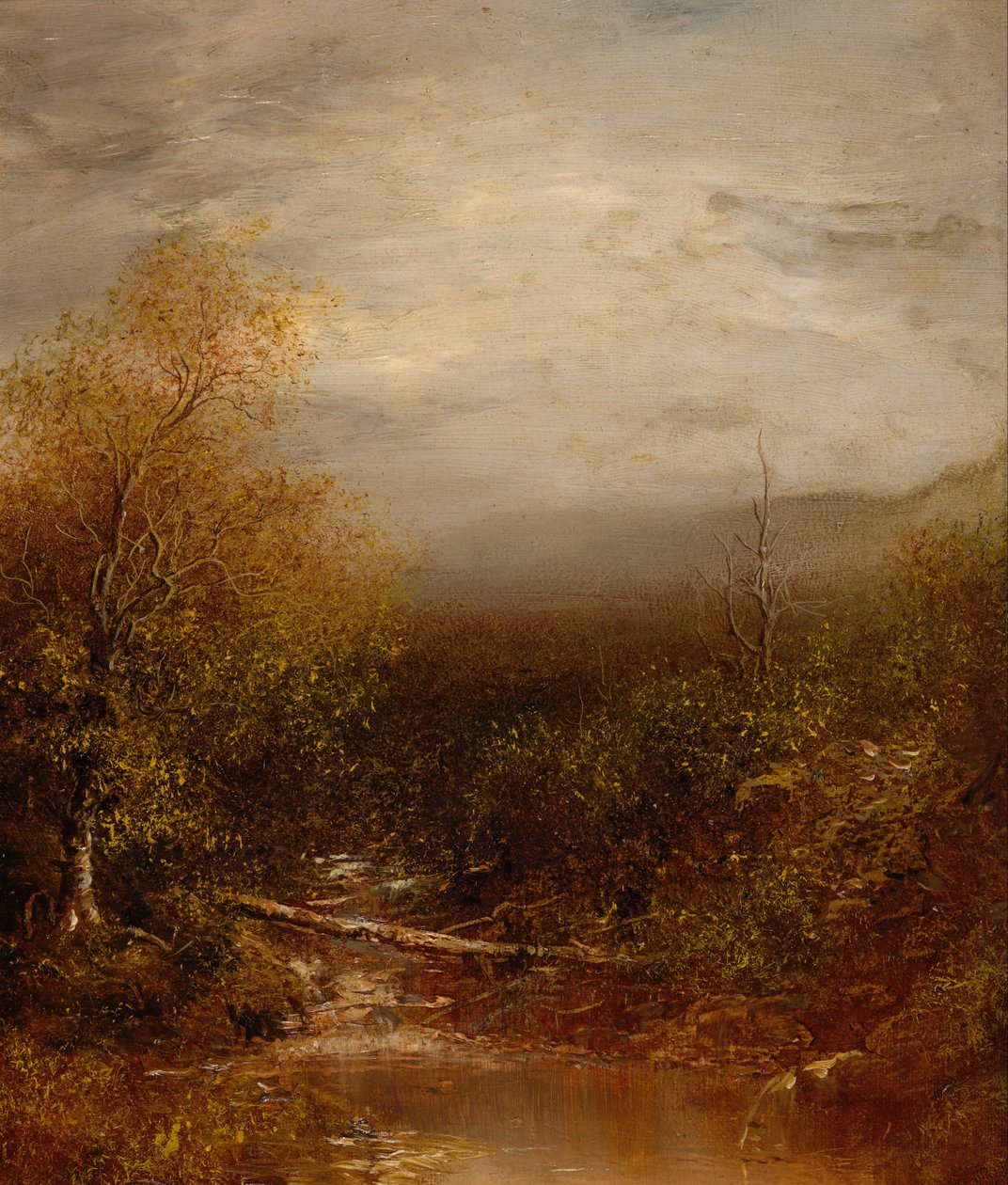 Medence az Adirondacks-ben alkotó: Ralph Albert Blakelock