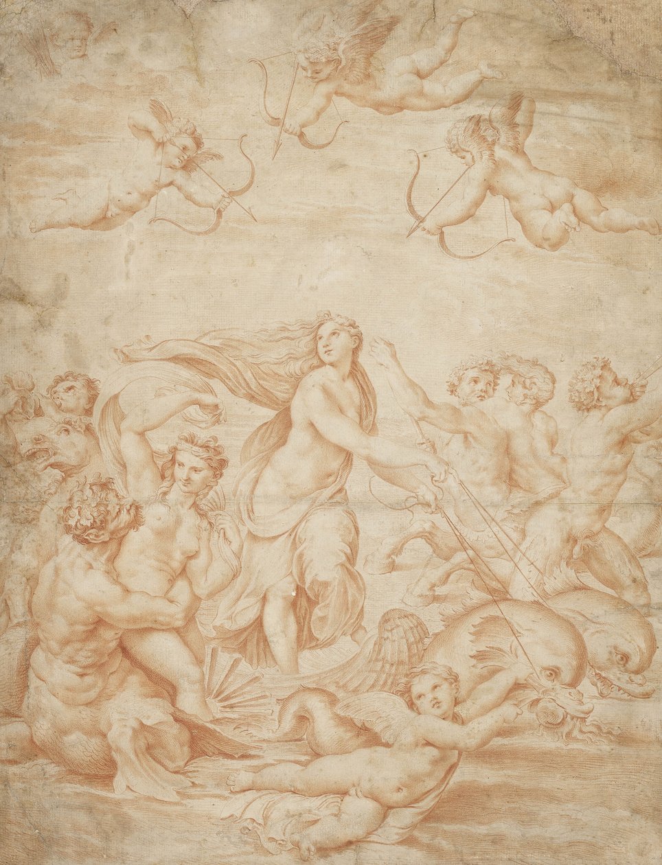 Galatea diadala (piros kréta halvány sápadt papíron) alkotó: Raffaello Sanzio Raphael