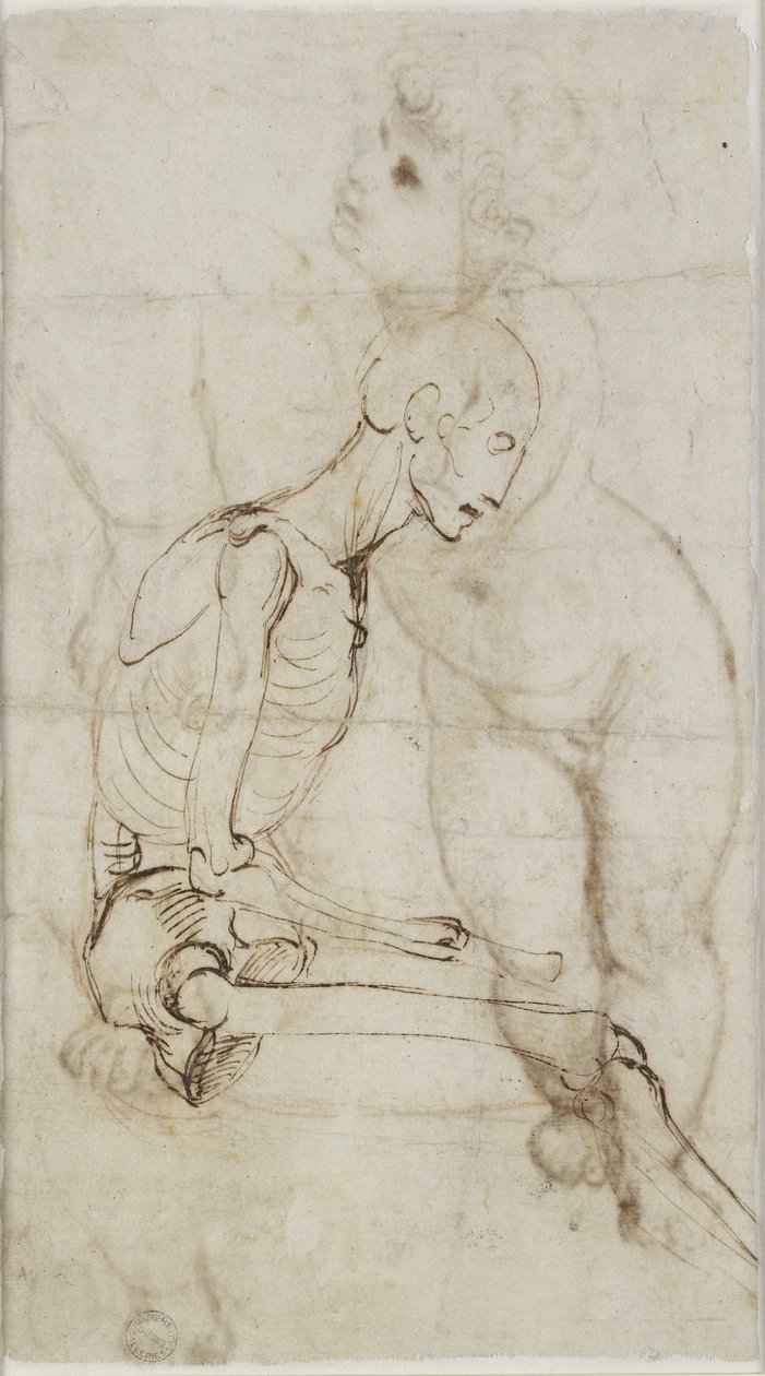 Verso: Study of a Skeleton, WA1855.91 alkotó: Raffaello Sanzio Raphael