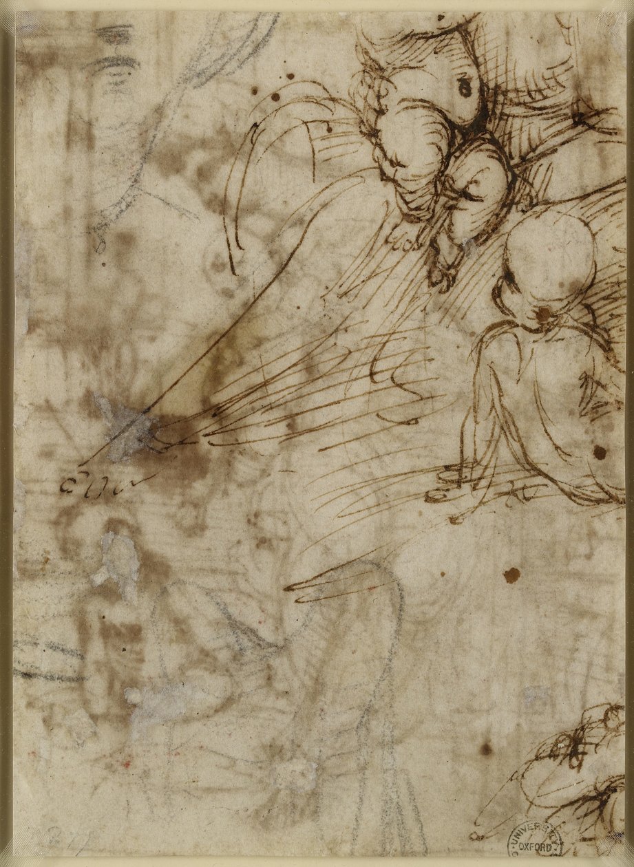 Verso: The Virgin, WA1846.162 alkotó: Raffaello Sanzio Raphael