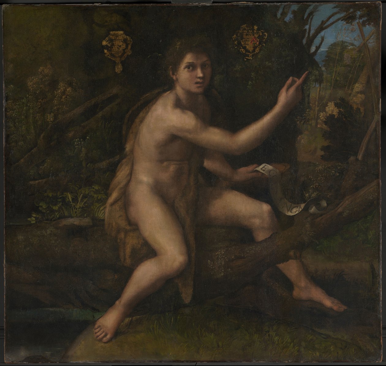 Keresztelő Szent János alkotó: Raphael (1483 1520)