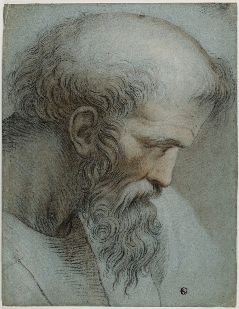 Pythagoras feje alkotó: Raphael