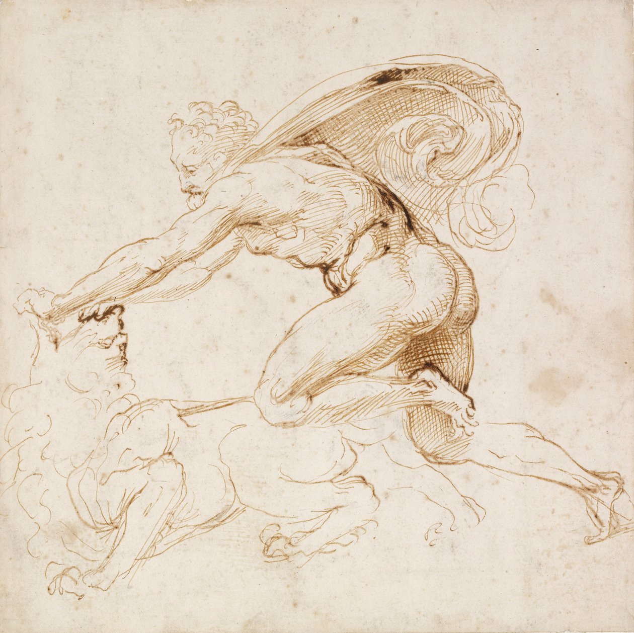 Herkules legyőz egy oroszlánt, c1500-1520 alkotó: Raphael