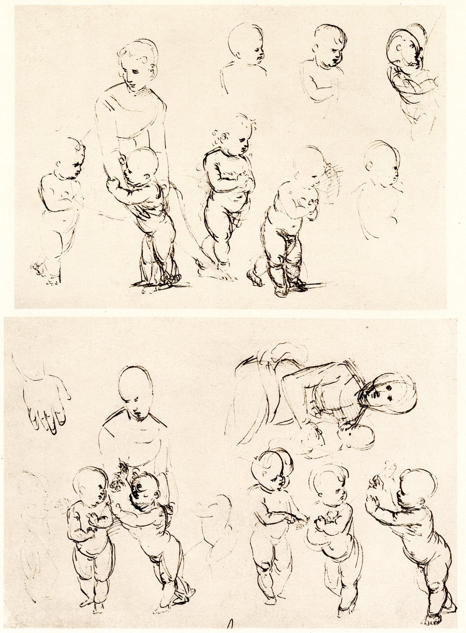 Különféle minták Madonna számára vidéken alkotó: Raffaello Sanzio Raphael
