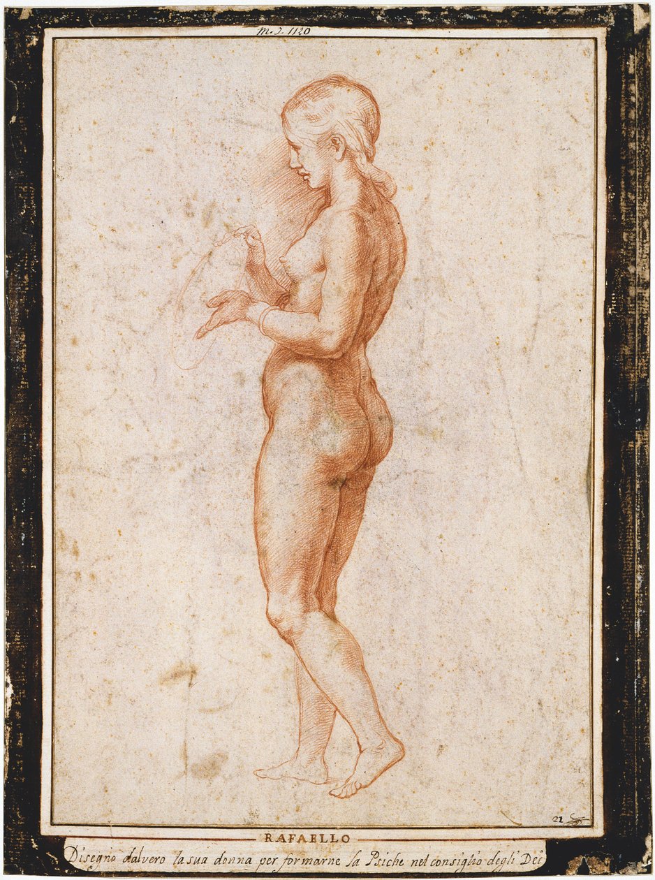 Fiatal női alak profilban, 1517 körül. alkotó: Raphael