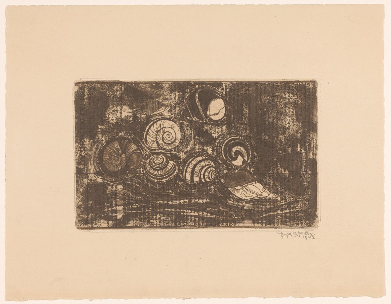 Hét kagyló alkotó: Reijer Stolk (signed by artist)